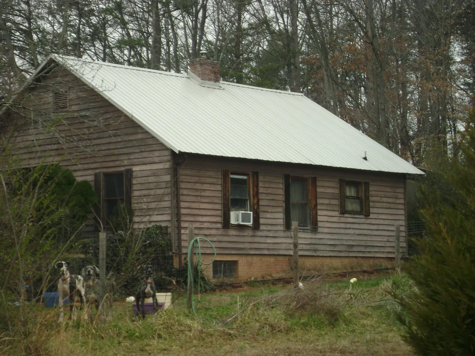 White metal roof on an old wood sided farmhouse, from a Metal Roof Installation job in Olalla